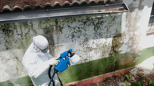 Top rated local Commercial Mold Remediation specialists in Lewisburg, TN